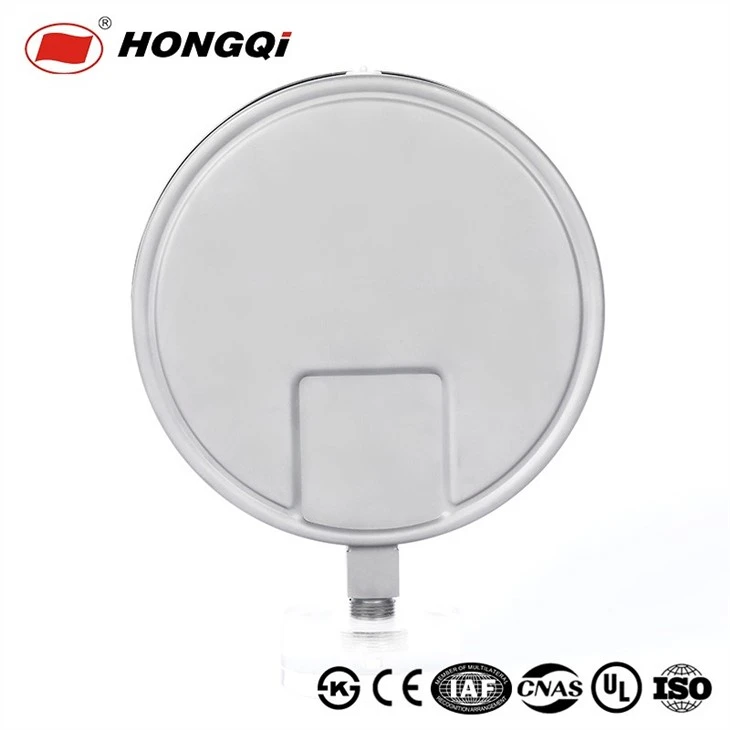Hongqi 200mmBF -0.1~0mpa/ 304Stainless Steel 1/2